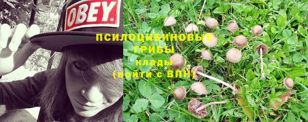 мяу мяу кристалл Аркадак
