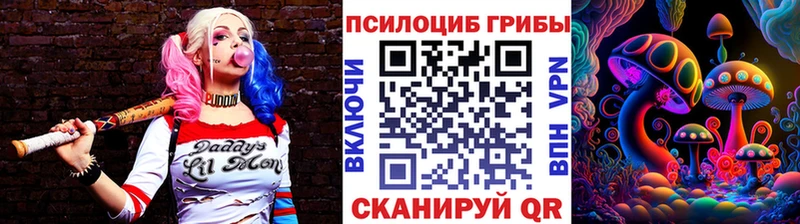 Галлюциногенные грибы Magic Shrooms  omg как войти  Стародуб 