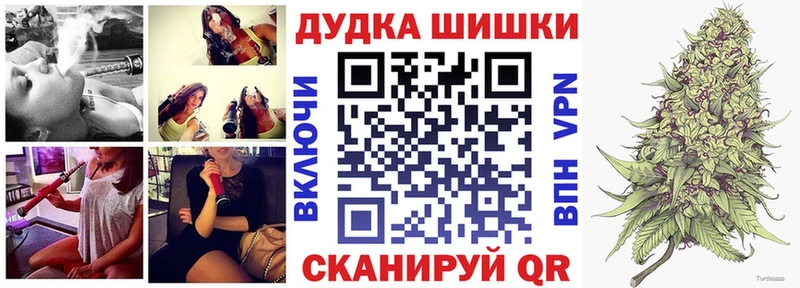 Шишки марихуана план  shop официальный сайт  Стародуб 